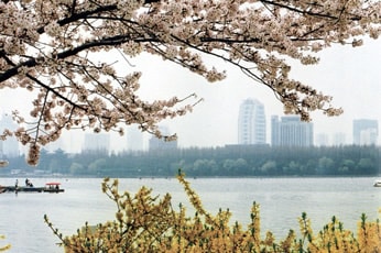 玄武湖公園（xuanwuhu gongyuan）